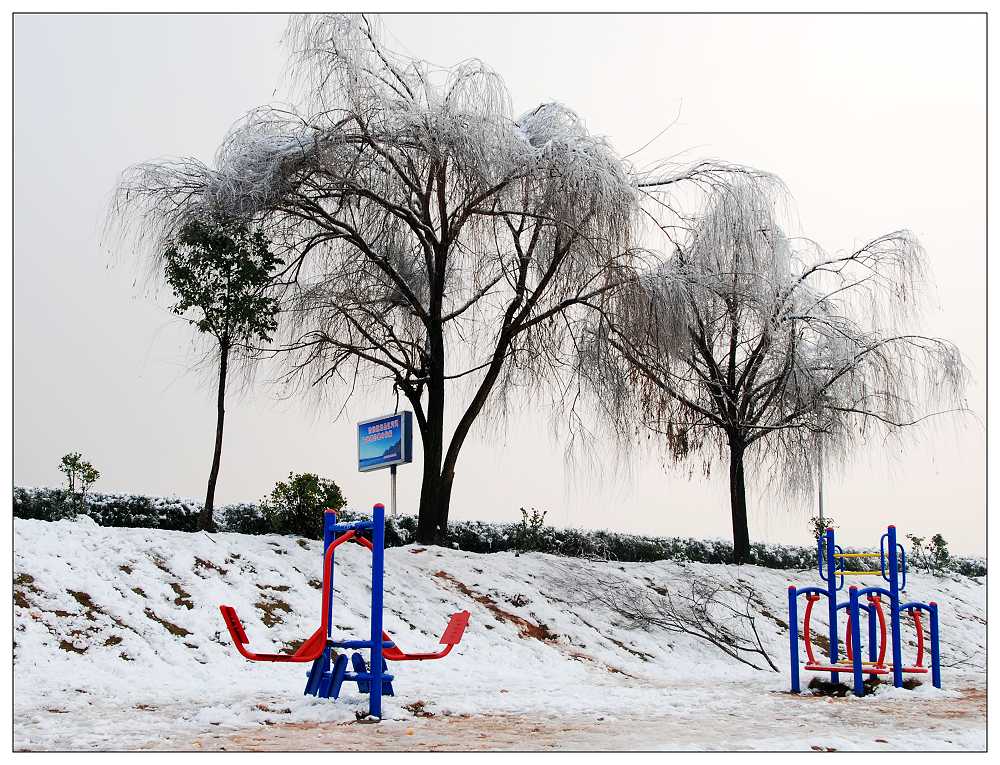 江南冬雪 摄影 温馨