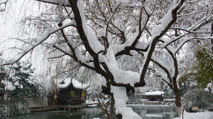 雪景（三） 摄影 飘移大可