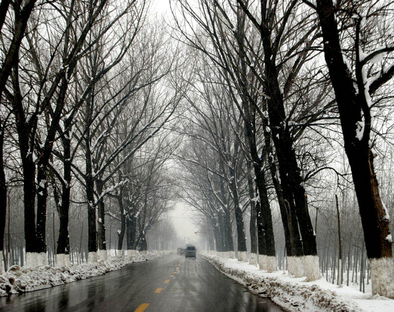 <车上拍得公路雪景》 摄影 河边