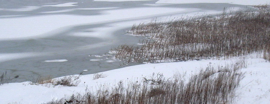 寒江雪 摄影 石崭