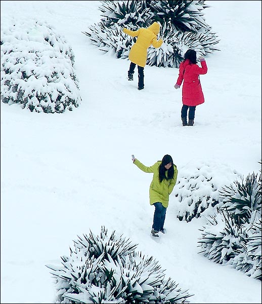 雪中舞蹈 摄影 lzy9290