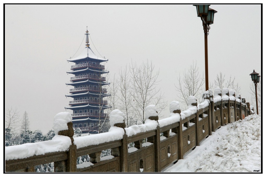 雪 摄影 金色一张