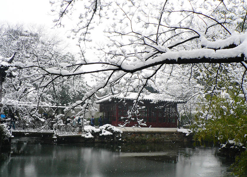 拙政园雪景 摄影 葱mm