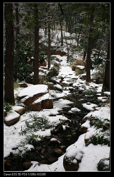 窗含西岭千秋雪 摄影 风铃儿