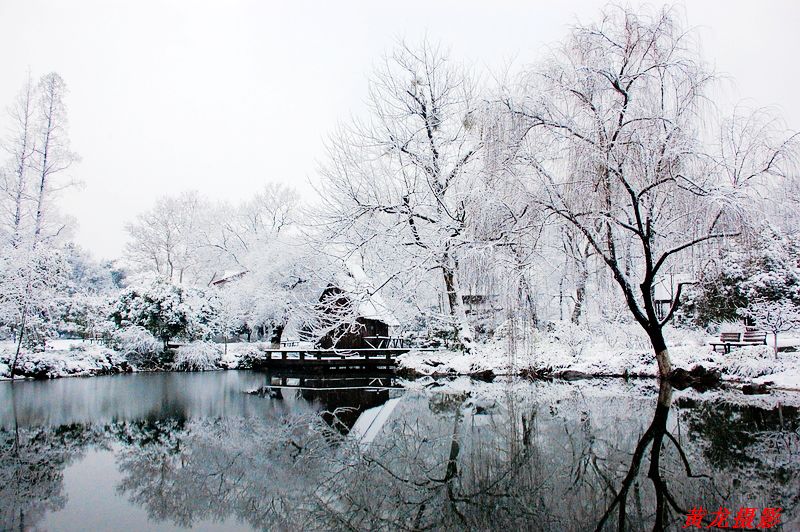 雪景 5 摄影 黄龙