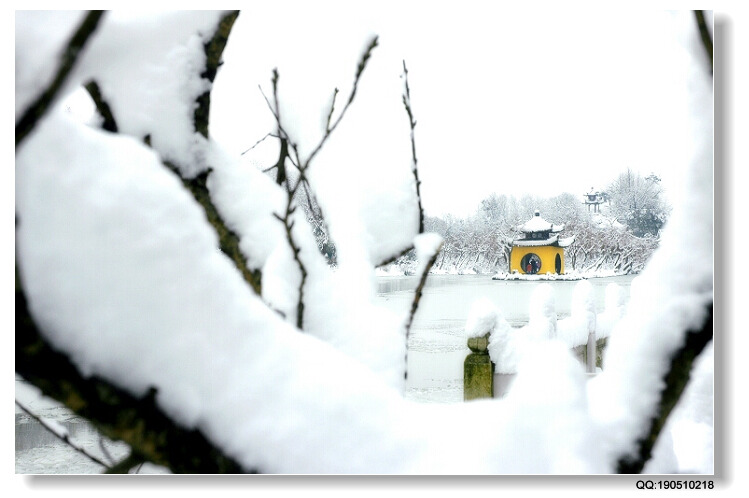 瘦西湖雪景 摄影 周健