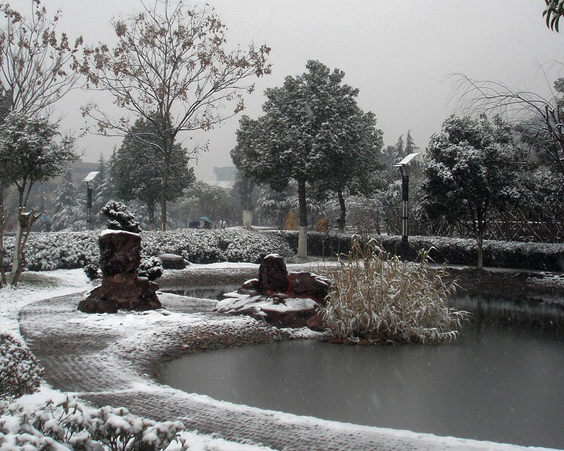 雪花飘飘 摄影 叶韵