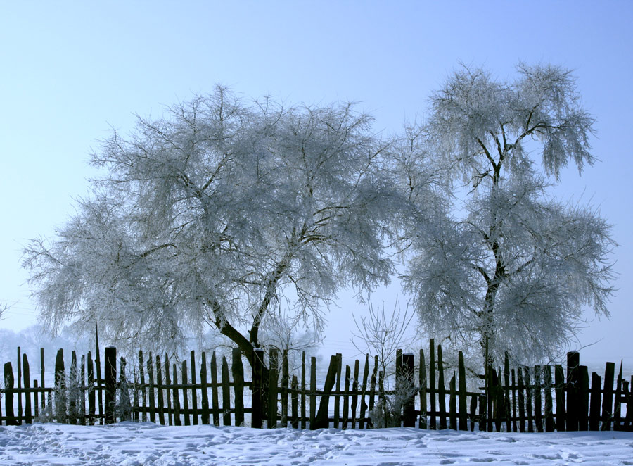 雪景 摄影 贾广顺