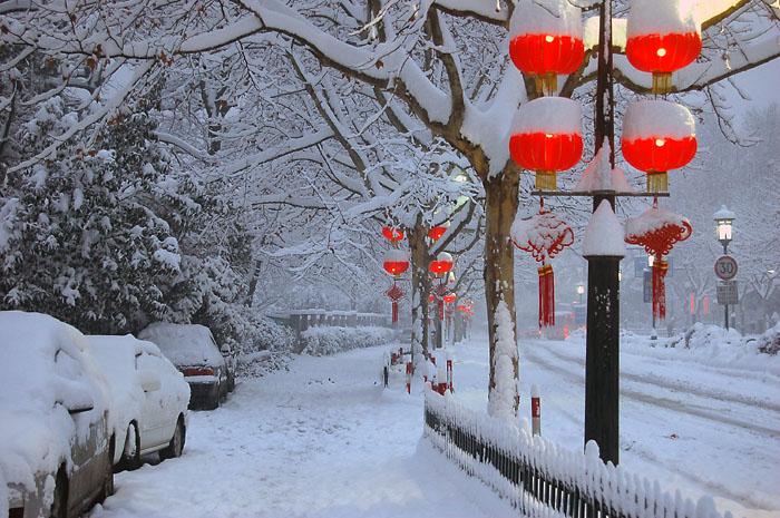 雪中杭城 摄影 杭州老潘