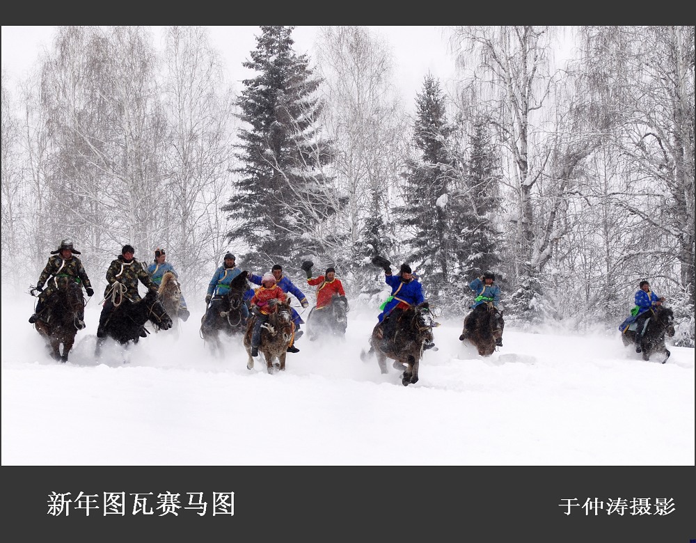 新年赛马图 摄影 古道浪子