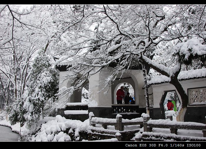 园林雪景 摄影 柯闲客