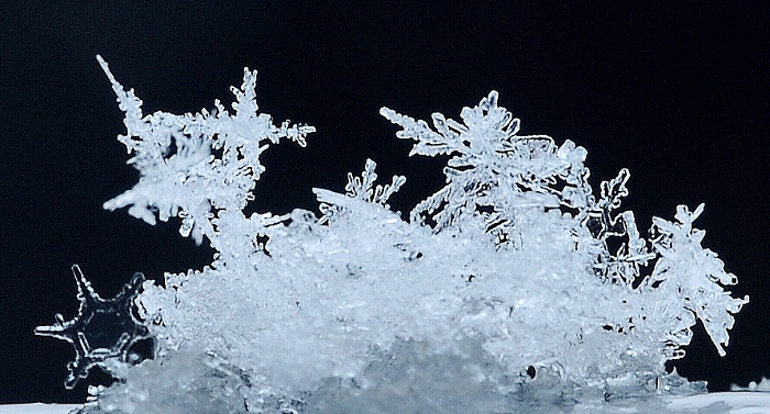 雪花奇观 摄影 无锡阿德