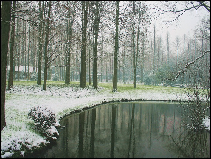 雪景 摄影 色mm