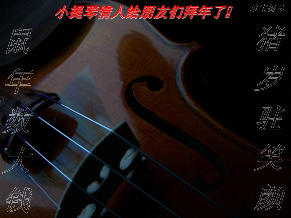 Violin lover 摄影 小提琴情人