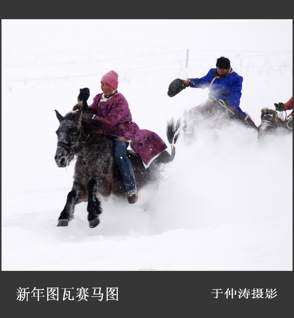 新年图瓦赛马图 摄影 古道浪子