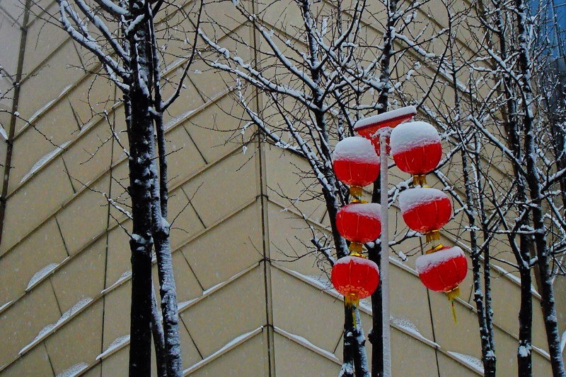 瑞雪丰年 摄影 雪影越风