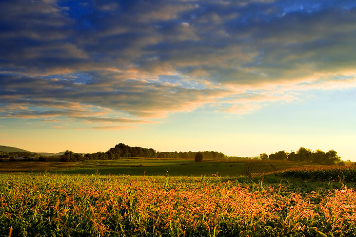 Penns Valley, Pennsylvania, US 摄影 yuhan