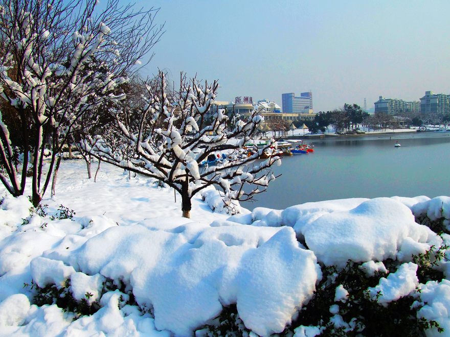 雪景-----留下的记忆！ 摄影 蓦回首