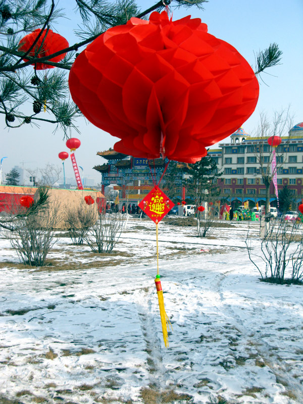 《招财进宝》 摄影 太空