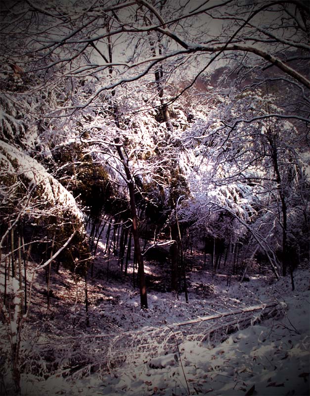 雪景-3(雪路的尽头是光明嘛) 摄影 annie-liu