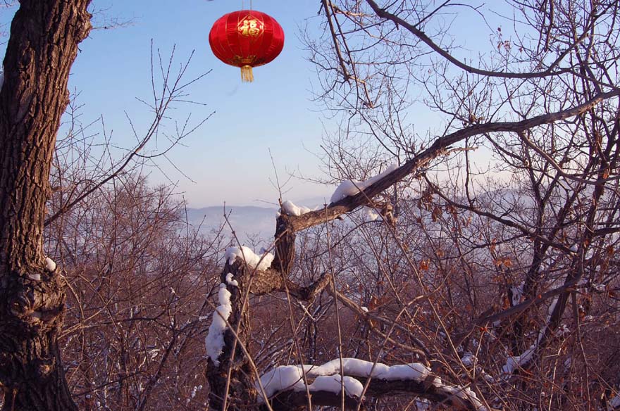 恭贺新春! 摄影 巴虎邨人