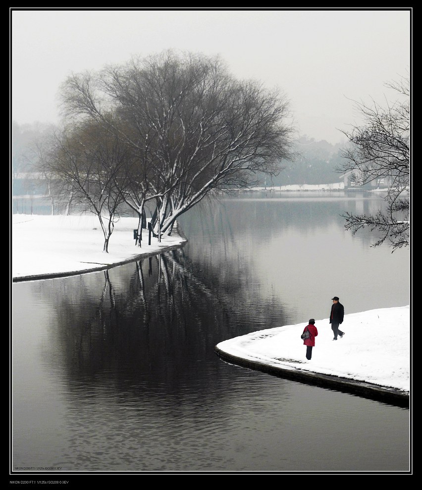 雪野漫步 摄影 石宝斋