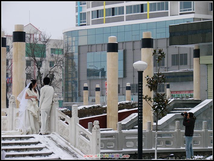 雪地恋歌 摄影 ___一杯清水