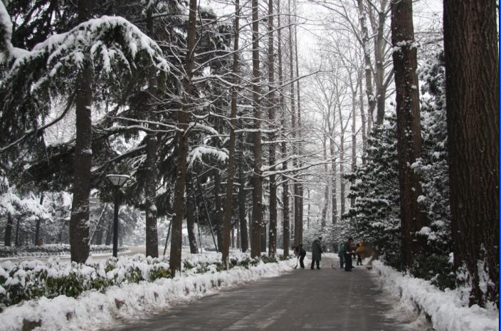 扫雪 摄影 zhongguo护照