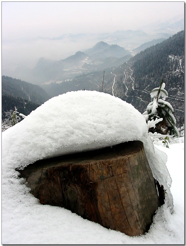 雪，依然美丽！ 摄影 邵阳夕月