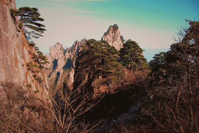 感受黄山（5） 摄影 山枣