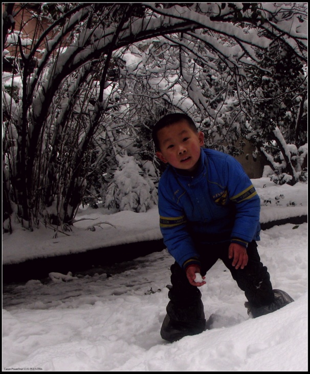 玩雪的孩子 摄影 无小钱