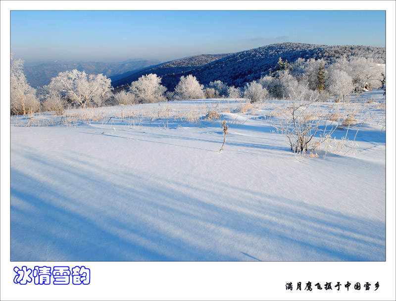 冰情雪韵之四 摄影 满月鹰飞