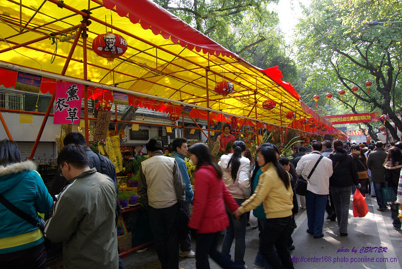 迎春花市 摄影 center