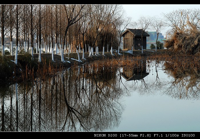 金银湖公圆小景 摄影 影飞