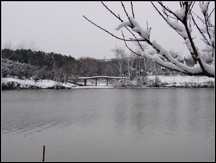 雪景6 摄影 平安