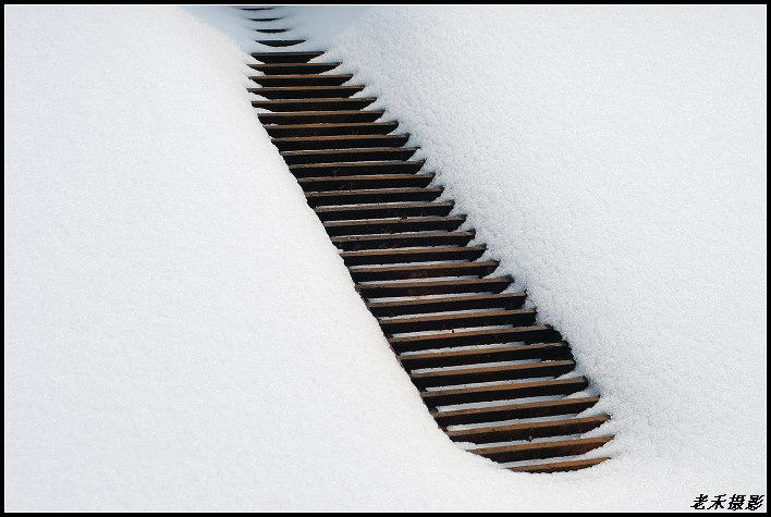 大雪有痕 摄影 老禾