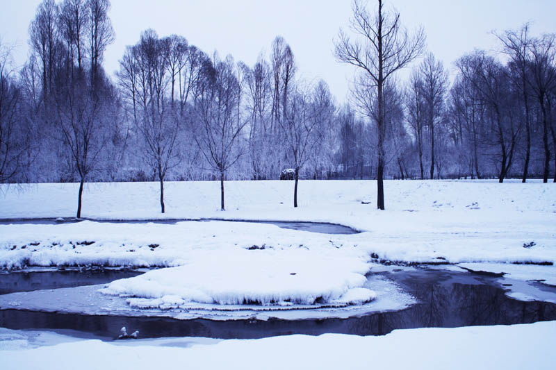 雪韵 摄影 大漠追风