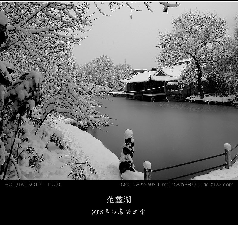 禾城雪景 摄影 爱枫叶