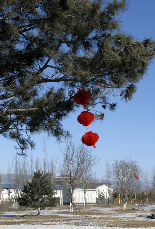 红灯高挂 摄影 太空