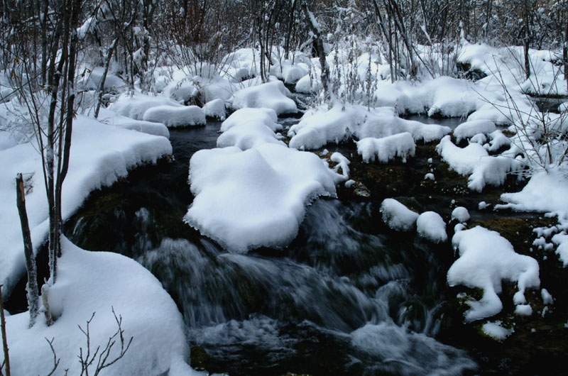 瑞雪兆丰年 摄影 吴聪全