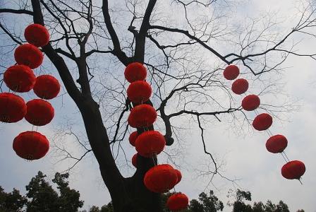 Chinese New Year 2008! 摄影 seattle