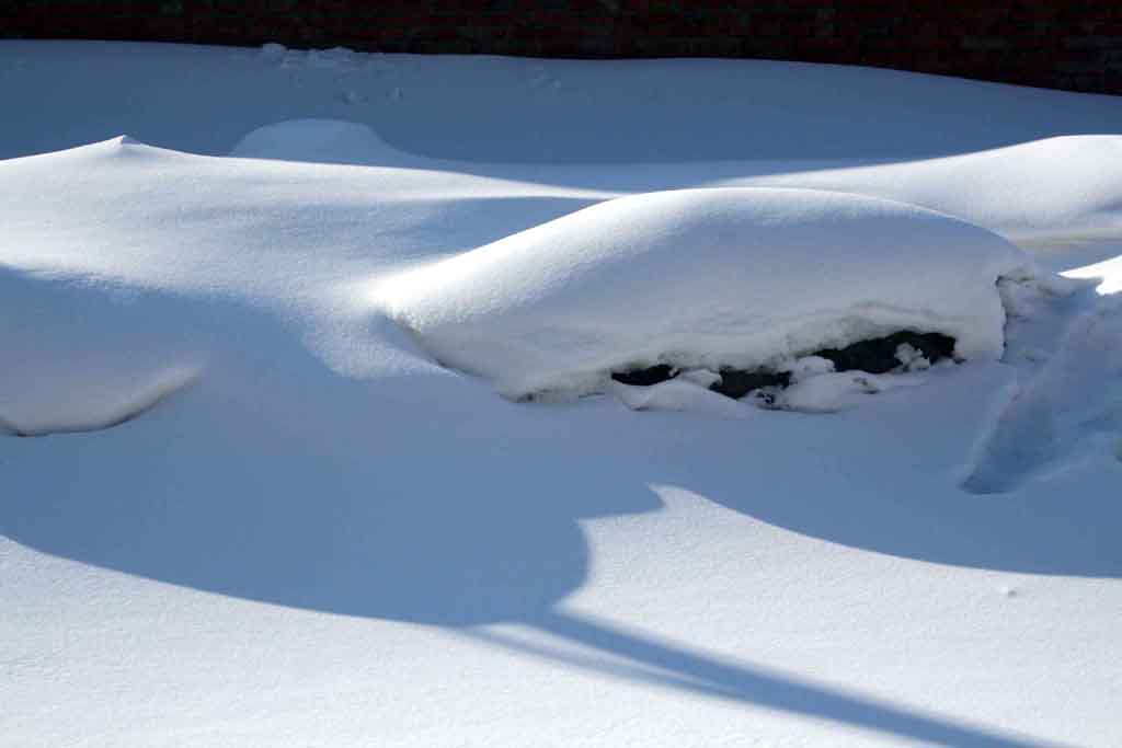 雪乡的雪 摄影 自由行走