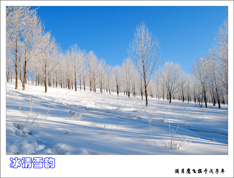 冰情雪韵之六 摄影 满月鹰飞