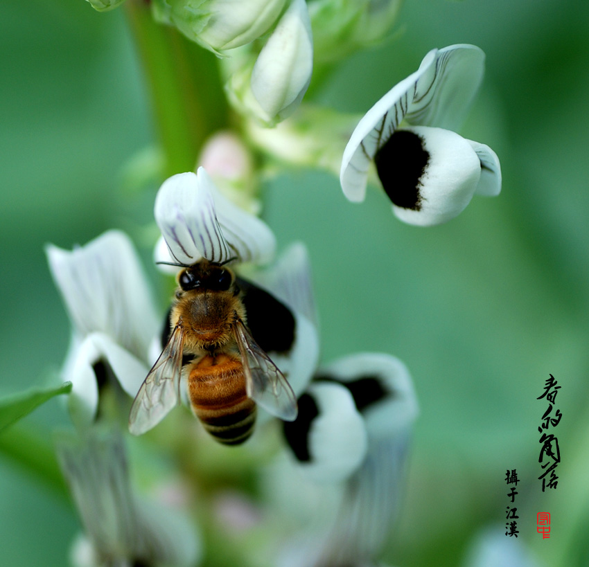 《春的角落》 摄影 都来评评