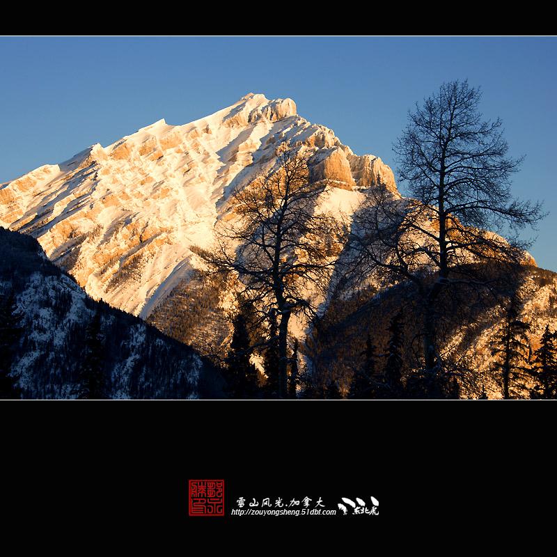 雪山风光 摄影 东北虎