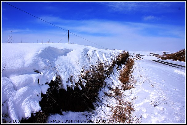 阳春白雪 摄影 GAOWA