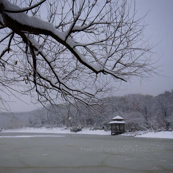 金陵雪 摄影 山风