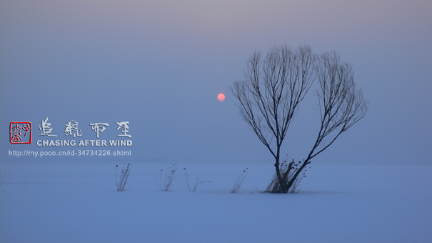 北湖雪 摄影 追风而至