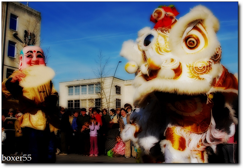 lion dancing 摄影 boxer