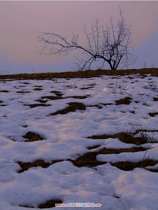 余晖残雪 摄影 玉为神